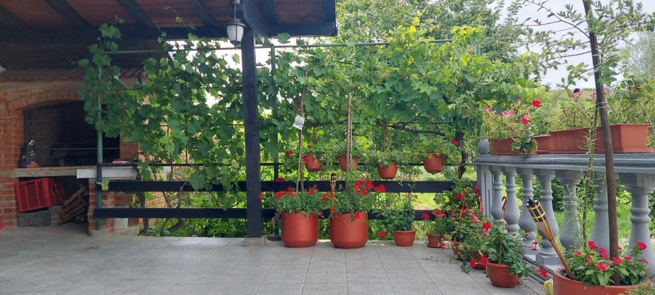 Kod Ane Apartment Belavici Exterior foto