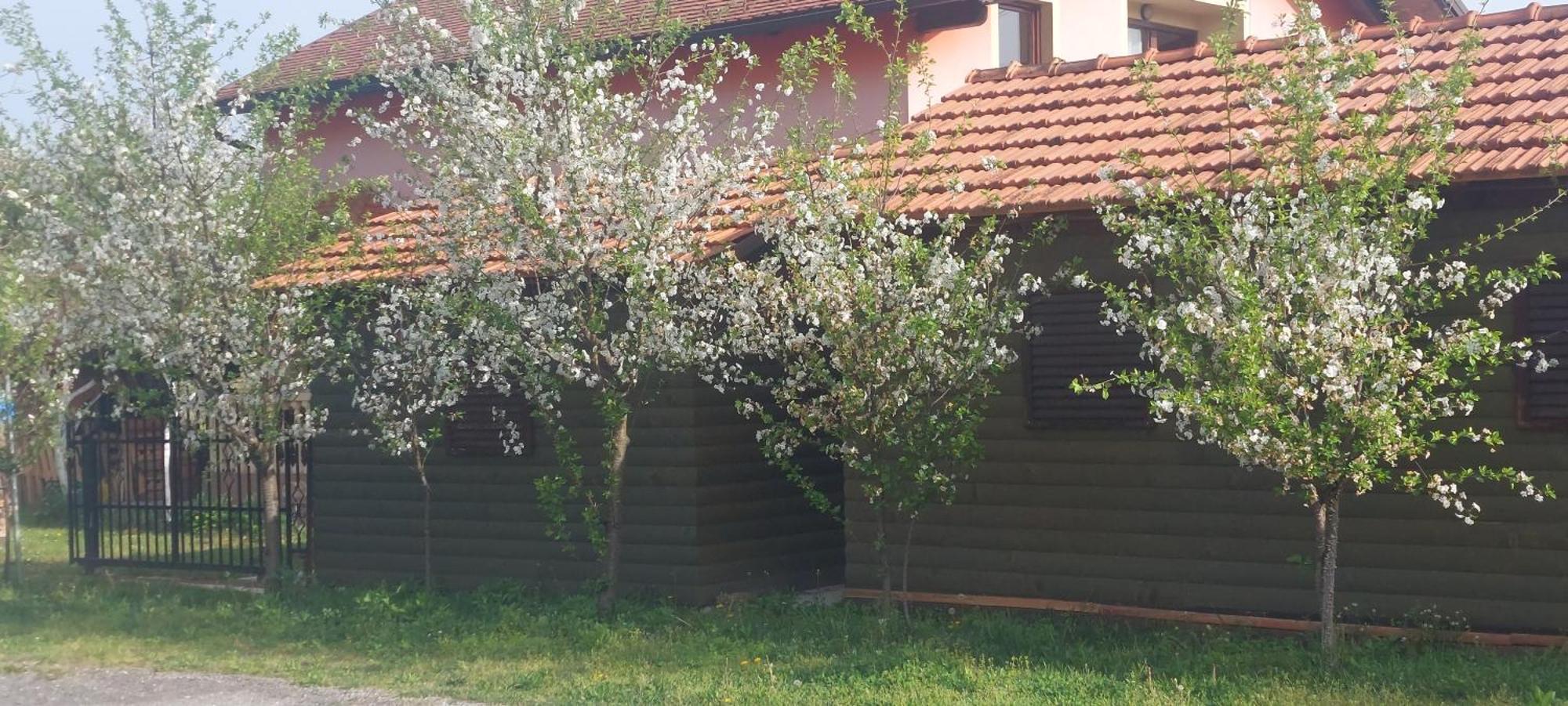 Kod Ane Apartment Belavici Exterior foto