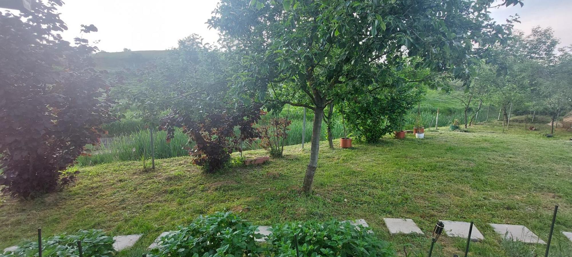 Kod Ane Apartment Belavici Exterior foto