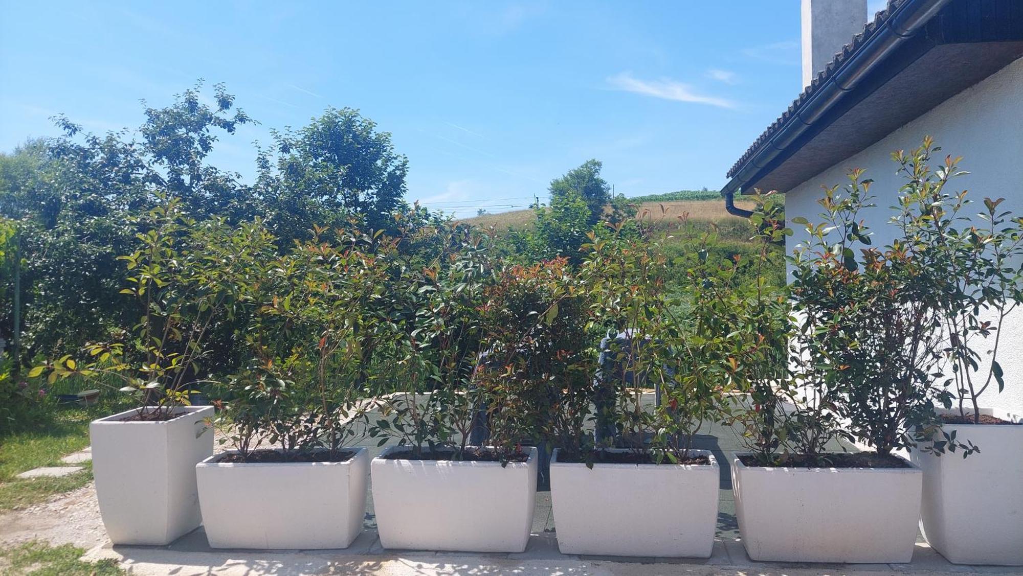 Kod Ane Apartment Belavici Exterior foto