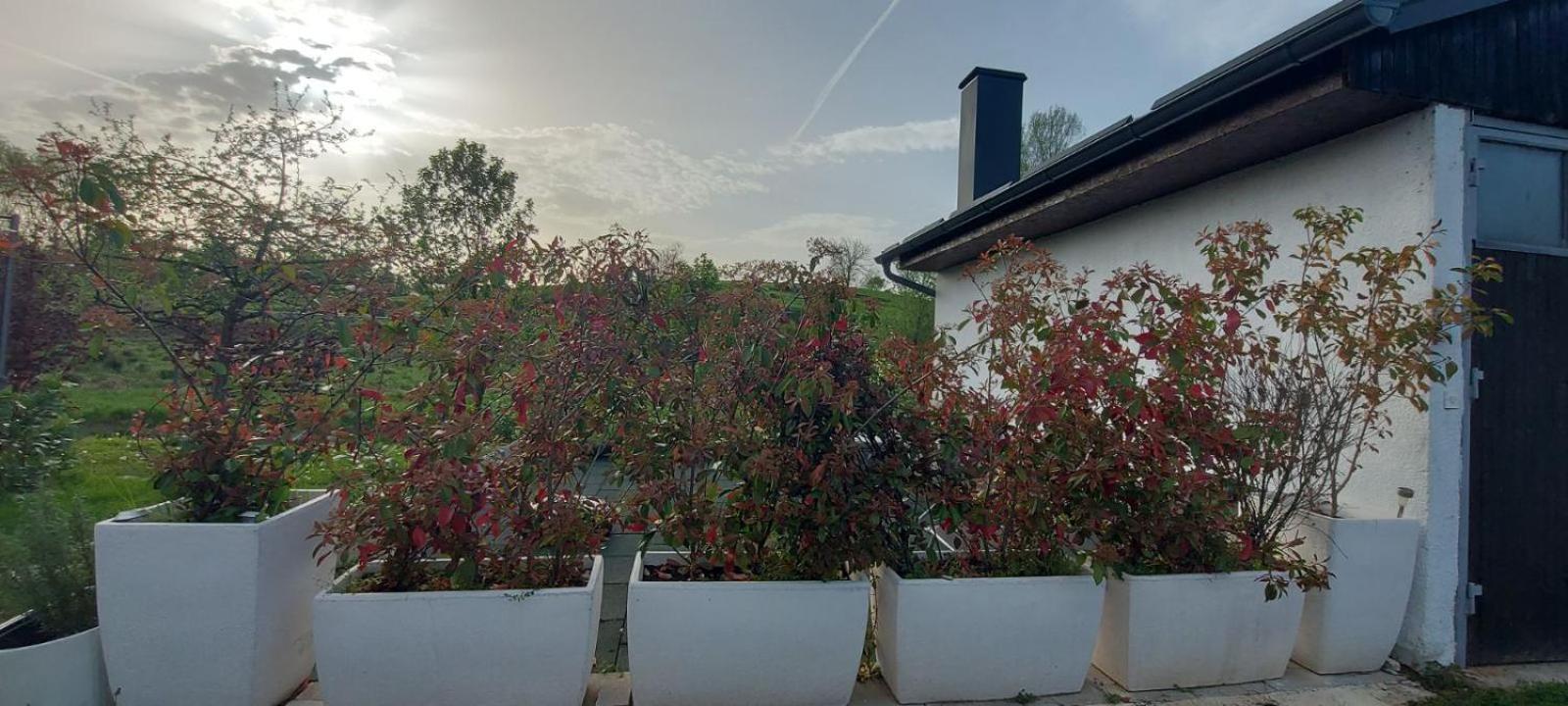 Kod Ane Apartment Belavici Exterior foto